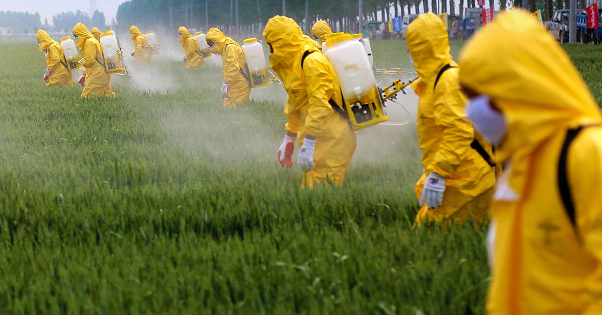 France : l&rsquo;Agence sanitaire annonce le retrait de 36 produits à base de glyphosate.
