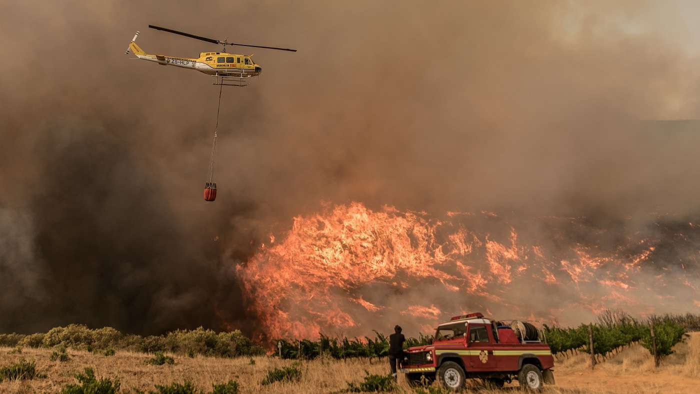 Un concours de circonstances dramatique : quand le changement climatique alimente les feux de forêt, les vagues de chaleur marines et la perte de biodiversité