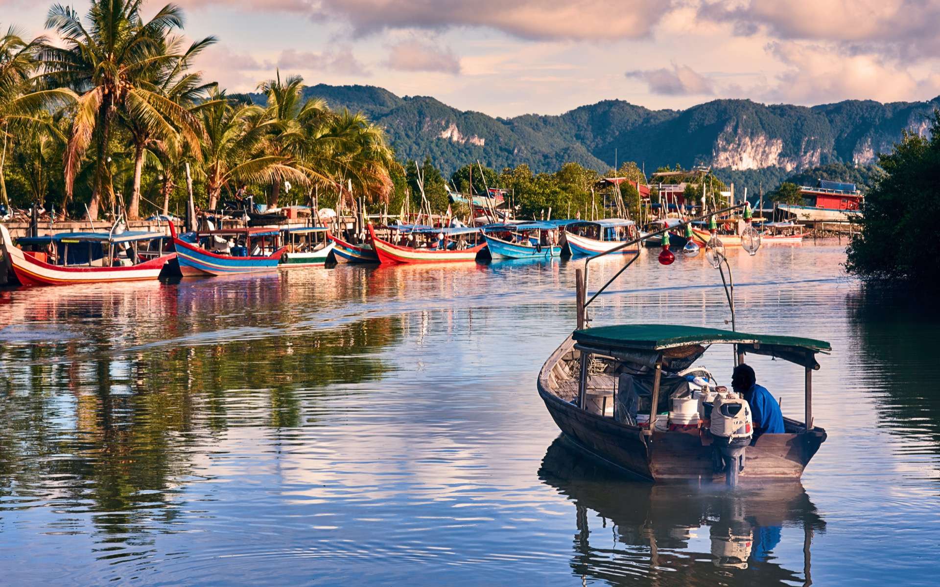 Le coût économique du déclin de la nature, selon le rapport du WWF