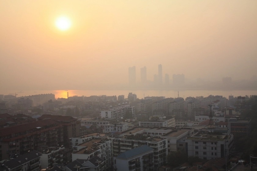 Le COVID-19 et le paradigme du compromis aux dépens de la nature