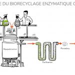 Une start-up a créé une enzyme révolutionnaire capable de recycler le plastique “à l’infini”