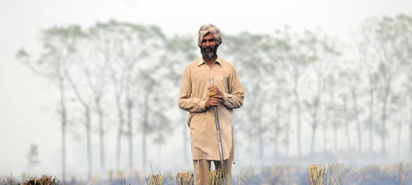 Brûlage des terres : d&rsquo;autres solutions sont possibles