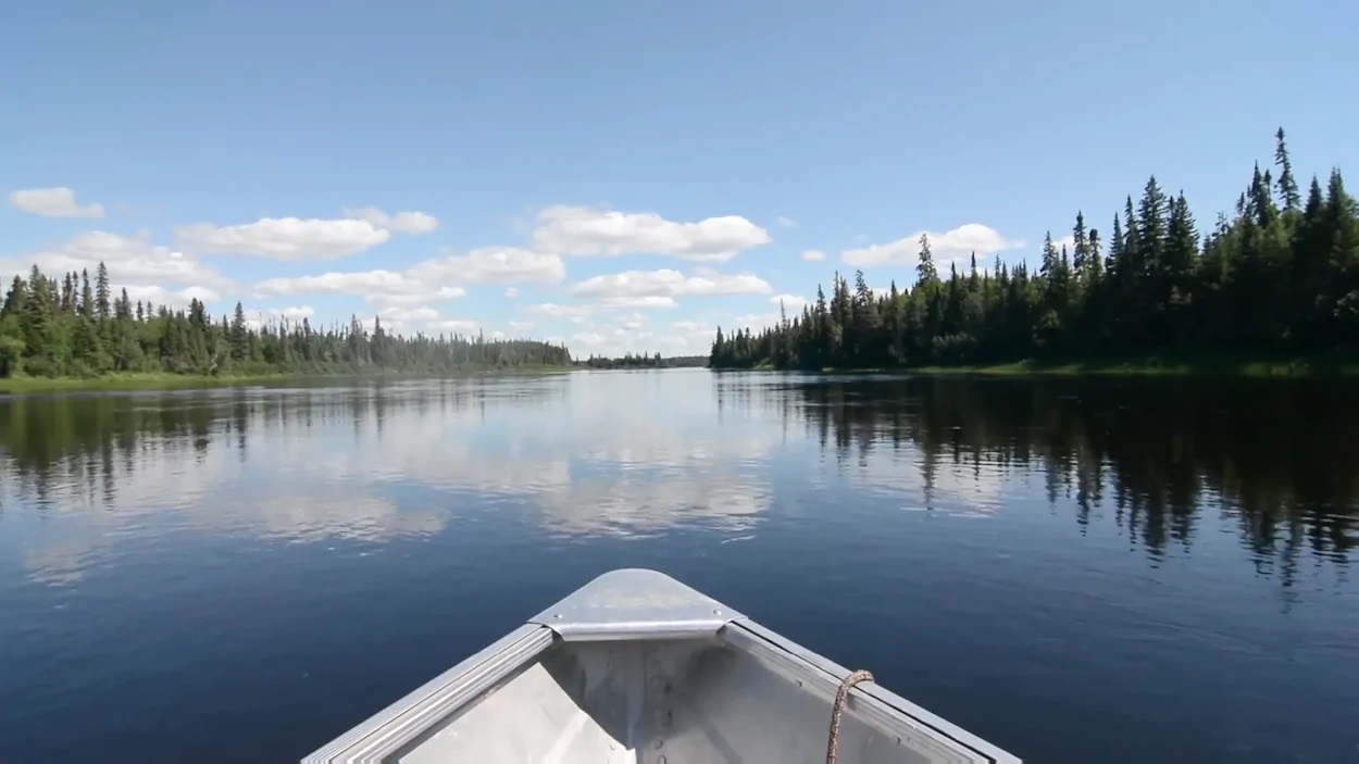 Une compagnie minière de lithium veut vider deux lacs et faire don des poissons