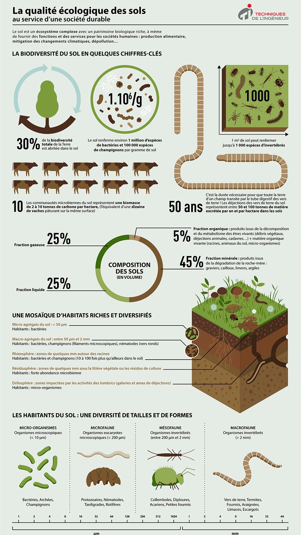 Infographie : Les sols au service d’une société durable