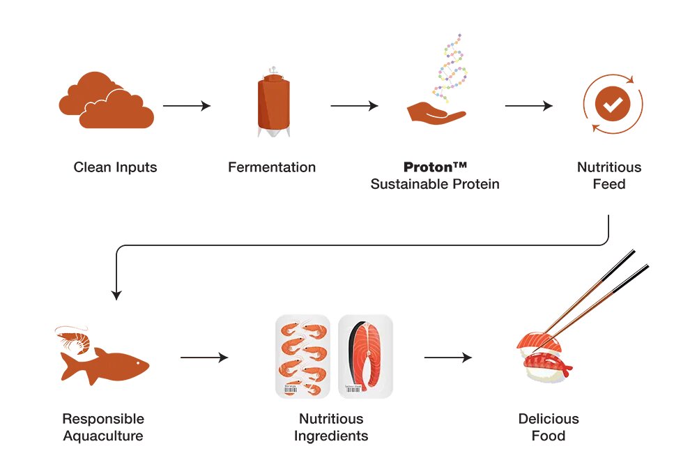 Deep Branch Biotechnology : de la nourriture à base de CO2 pour les animaux