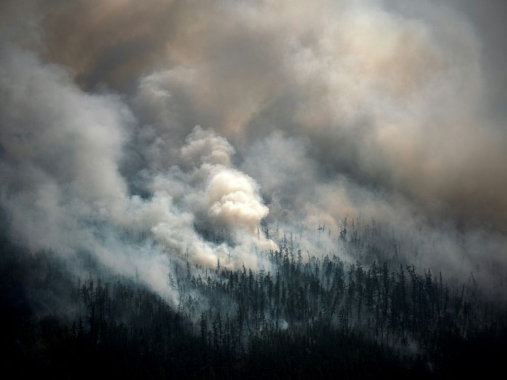 En Sibérie, le changement climatique déchaîne les feux de forêts