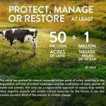 Walmart Sets Goal to Become a Regenerative Company