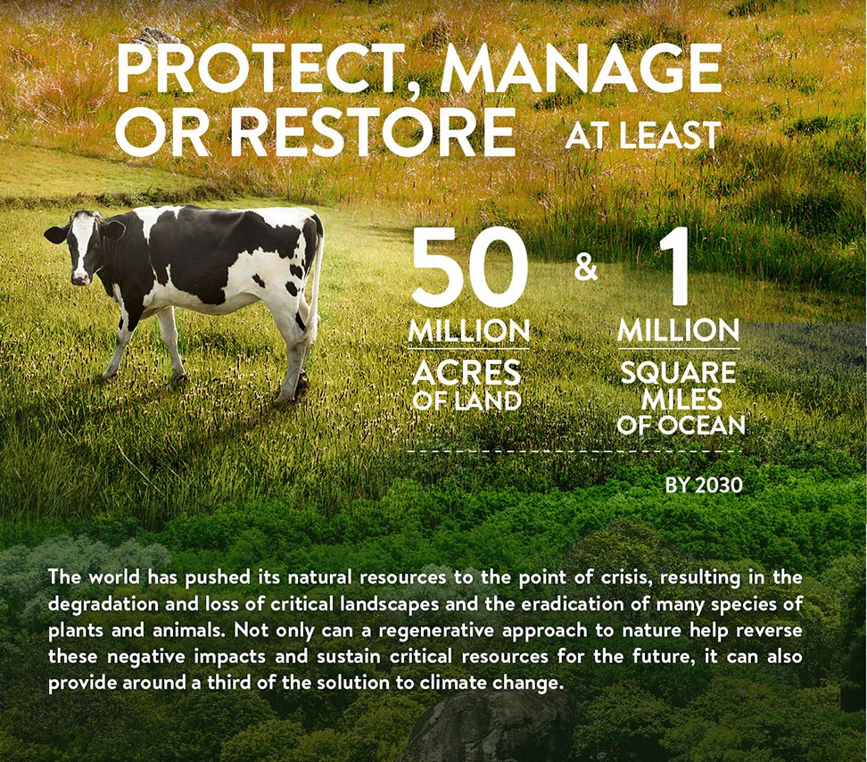 Walmart Sets Goal to Become a Regenerative Company