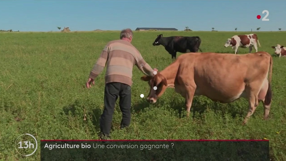 Agriculture : dix ans après sa conversion au bio, un producteur de lait triple son salaire