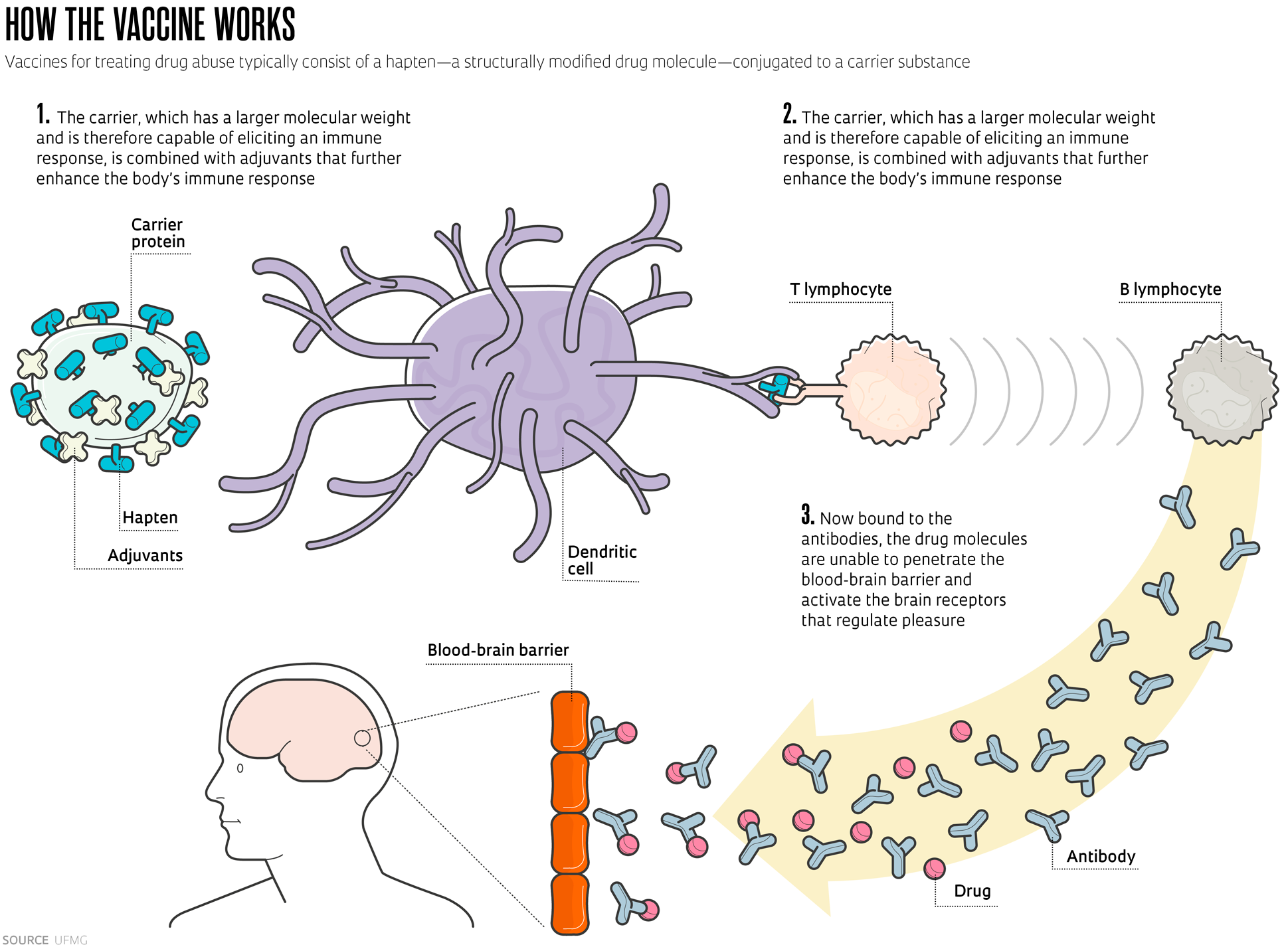 A potential vaccine against cocaine addiction