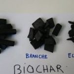LE BIOCHAR : UN CHARBON BIOLOGIQUE ADAPTÉS AUX SOLS TROPICAUX ACIDES