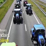 Plan « Azote » aux Pays-Bas : pourquoi la colère des agriculteurs néerlandais persiste