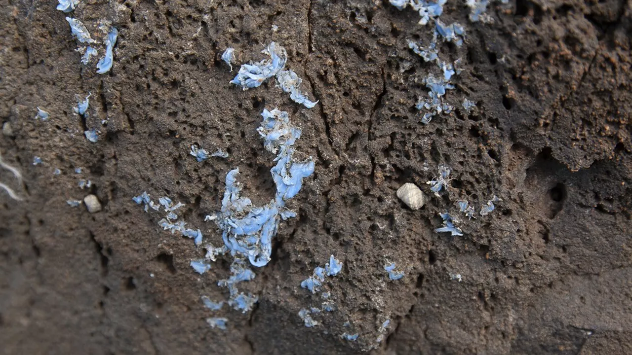 La « plasticroûte », une nouvelle forme de pollution qui couvre les rochers de bleu