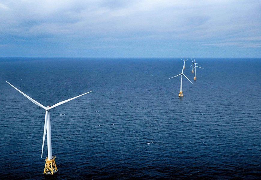 Éoliennes en mer : au bonheur des poissons