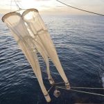 Un accord sur la protection de la haute mer obtenu à l’ONU