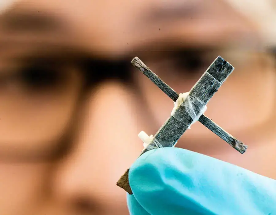 Transistor en bois : une découverte qui révolutionne l’électronique