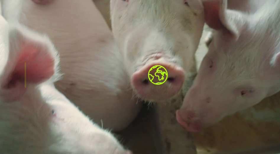 Pourquoi les agrocarburants pourraient s&rsquo;avérer pires que le diesel et l&rsquo;essence pour le changement climatique