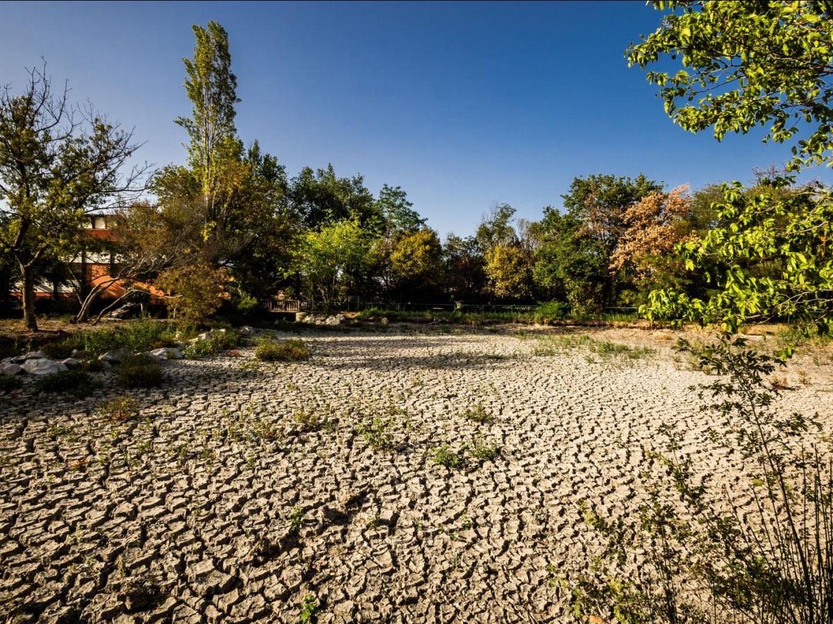 Le mois de juillet le plus chaud depuis au moins 120.000 ans !