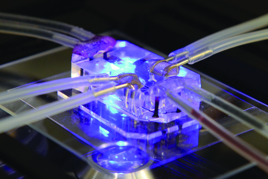 Microfluidique : tout savoir sur ces labos qui tiennent dans une goutte