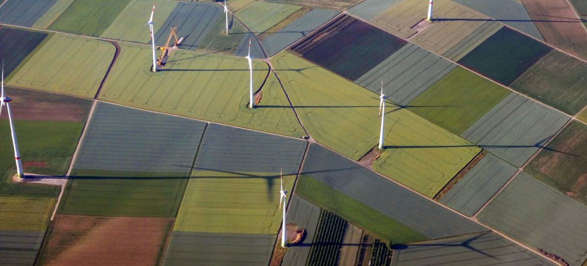 « Sans énergies renouvelables, il n’y a pas d&rsquo;avenir » : 5 façons d’assurer la transition énergétique