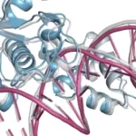 AlphaFold 3 – Un sacré bond en avant pour la modélisation des molécules du vivant