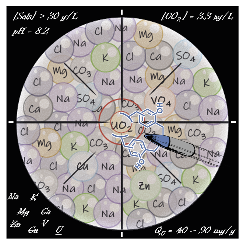 Mises au point par des chercheurs de l’ICSM, des résines formo-phénoliques originales offrent des perspectives inédites d’extraction de l’Uranium de l’eau de mer.