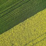 Un financement de 130 à 600 €/ha pour préserver la qualité de l’eau