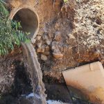 La start-up Wasterwater Fuels va produire de l’hydrogène à partir des eaux usées et des microbes