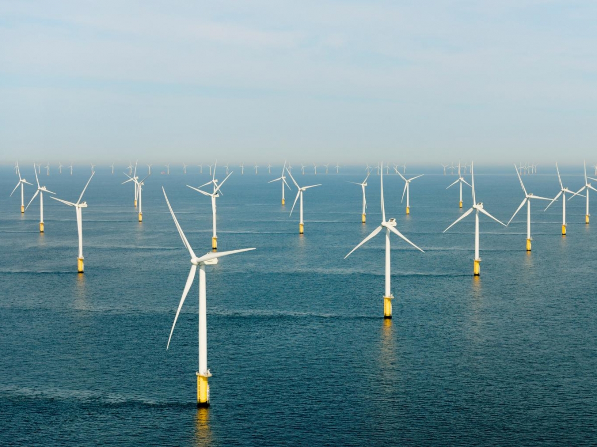 Éoliennes et effet de sillage : une limite de production ?