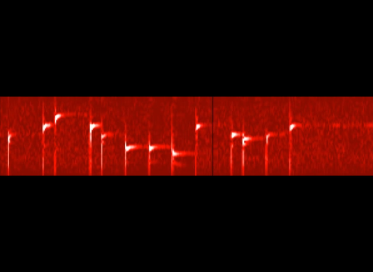 Des chercheurs jouent un air de nano-guitare