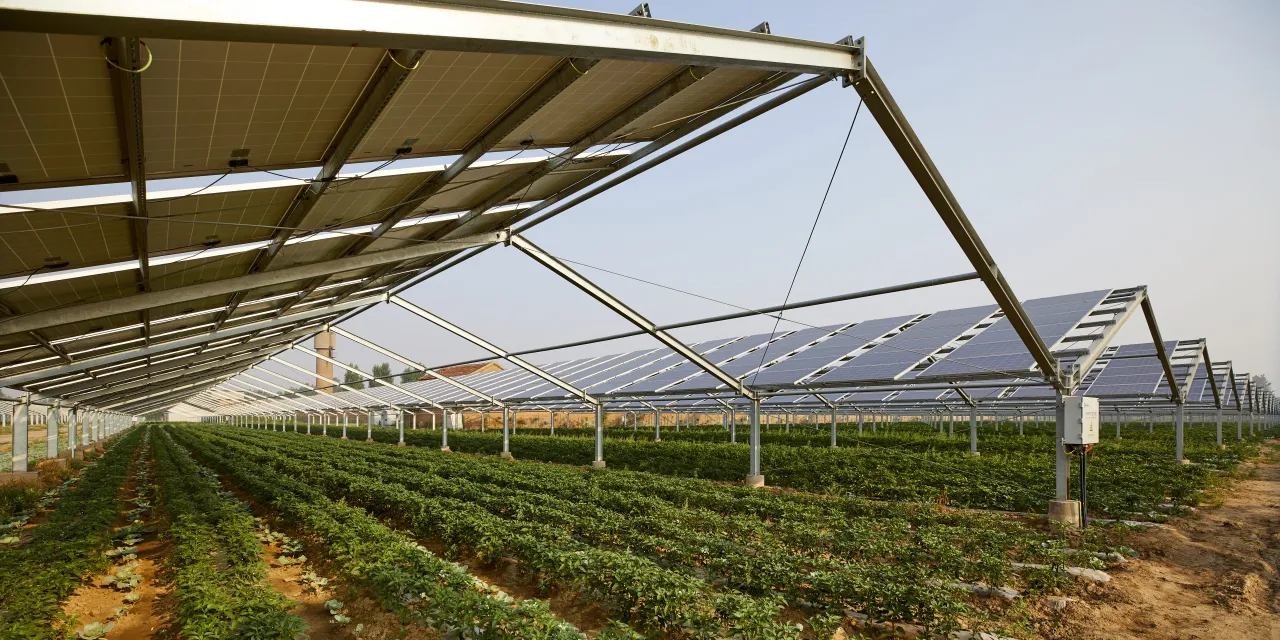 Baofeng Group building a 1 GW agrivoltaic solar park in China