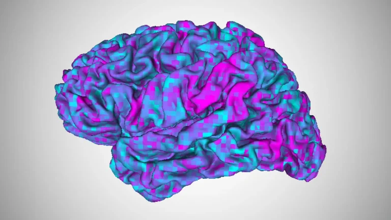 AI &lsquo;brain decoder&rsquo; can read a person&rsquo;s thoughts with just a quick brain scan and almost no training