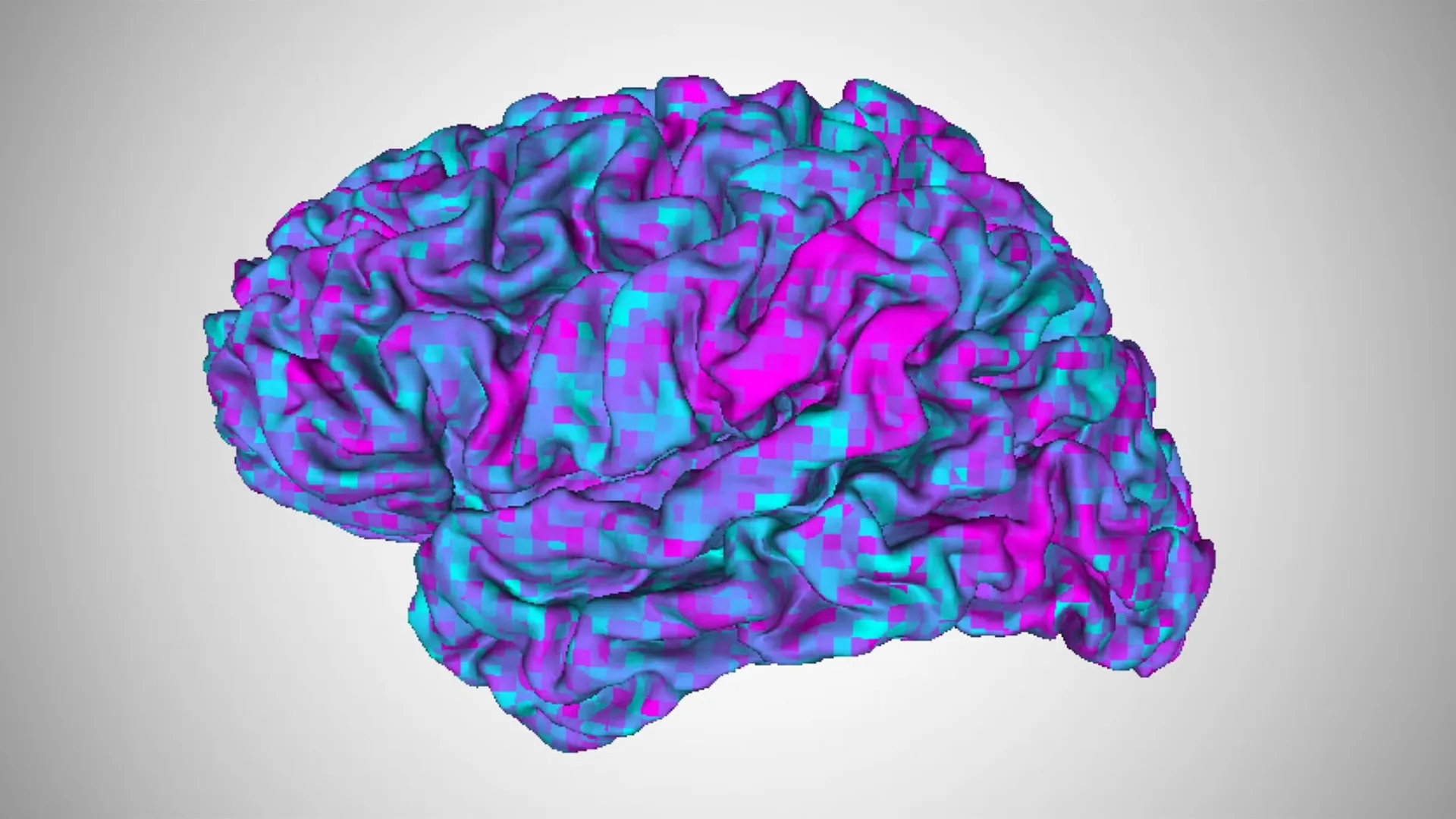 AI &lsquo;brain decoder&rsquo; can read a person&rsquo;s thoughts with just a quick brain scan and almost no training