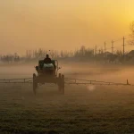 Les pesticides participent activement à l’effondrement de la biodiversité