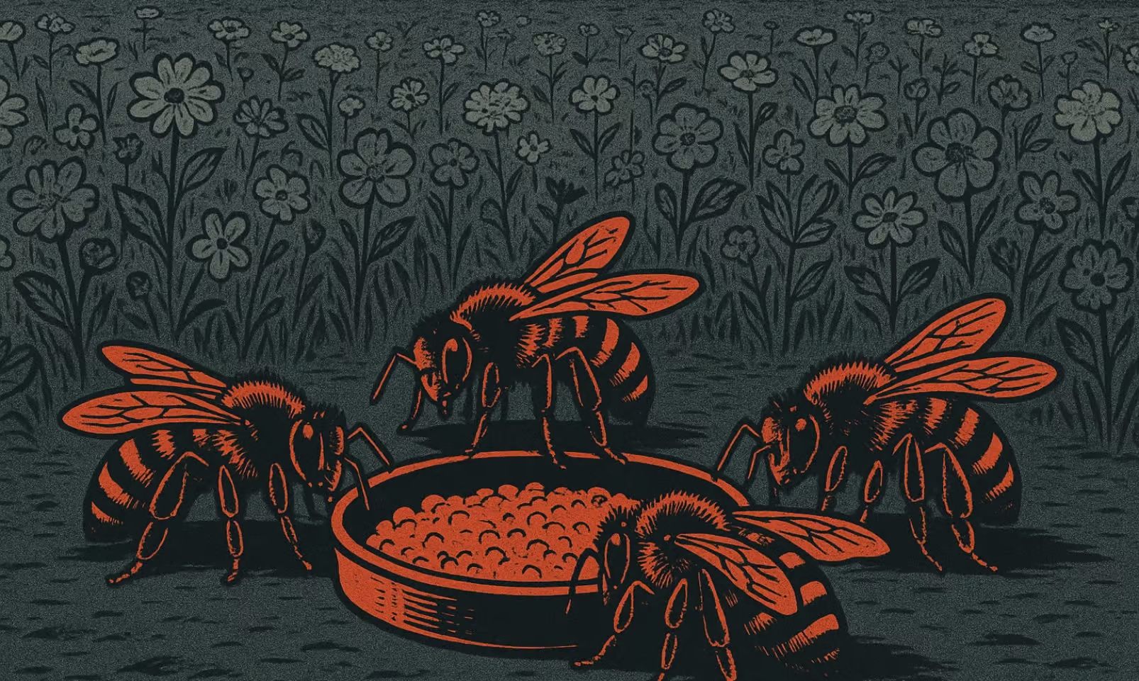 Incroyable qu’on en soit arrivé là : il faut désormais nourrir les abeilles pour qu’elles ne disparaissent pas !