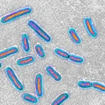 Hospital superbug can feed on medical plastic, first-of-its-kind study reveals
