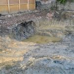 Comment l&rsquo;association entre PV et plantes hyperaccumulatrices accélère la dépollution des friches – pv magazine France
