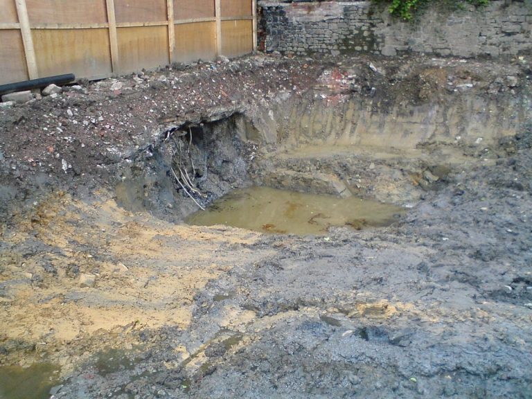 Comment l&rsquo;association entre PV et plantes hyperaccumulatrices accélère la dépollution des friches – pv magazine France