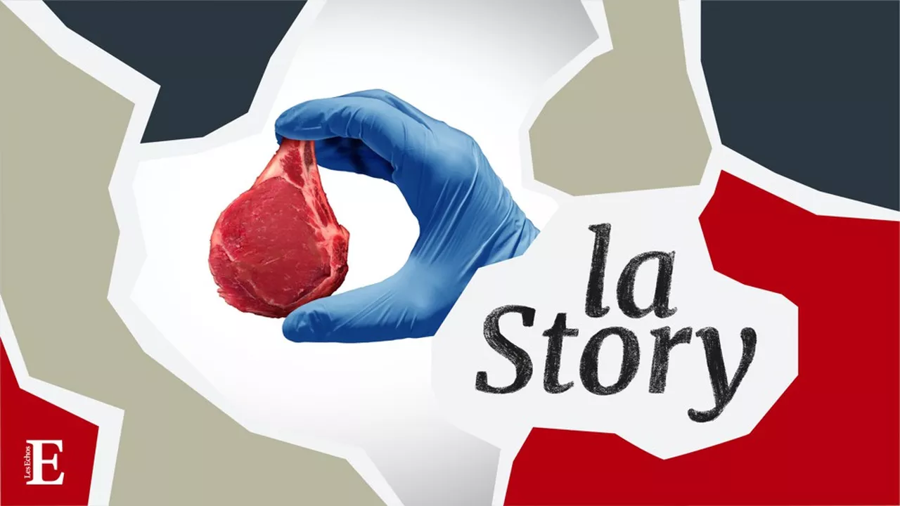 De la cuve à l&rsquo;assiette : l&rsquo;essor de la viande in vitro
