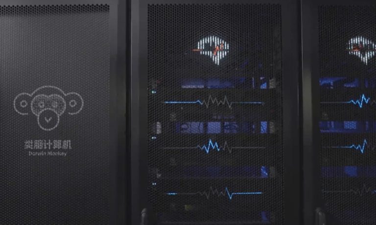Chinese researchers unveil world&rsquo;s largest-scale brain-like computer Darwin Monkey