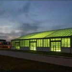 How algae can turn CO2 emissions into sustainable carbon fibres