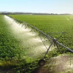 The Food and Agriculture System Will Change. The Question Is Not If, But When and How