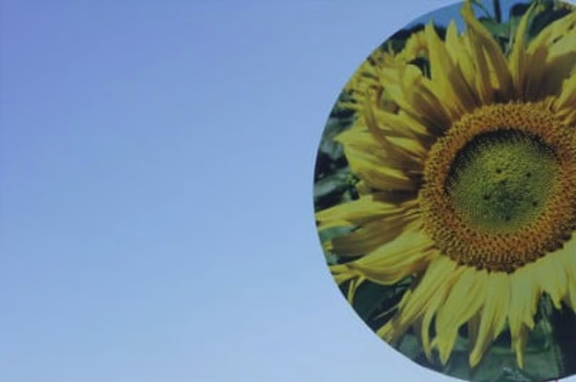 La start-up de la semaine : les éoliennes tunisiennes sans pales ni rotation émergent à l’international