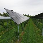 L’Espagne rend les projets agrivoltaïques éligibles aux subventions agricoles de la PAC