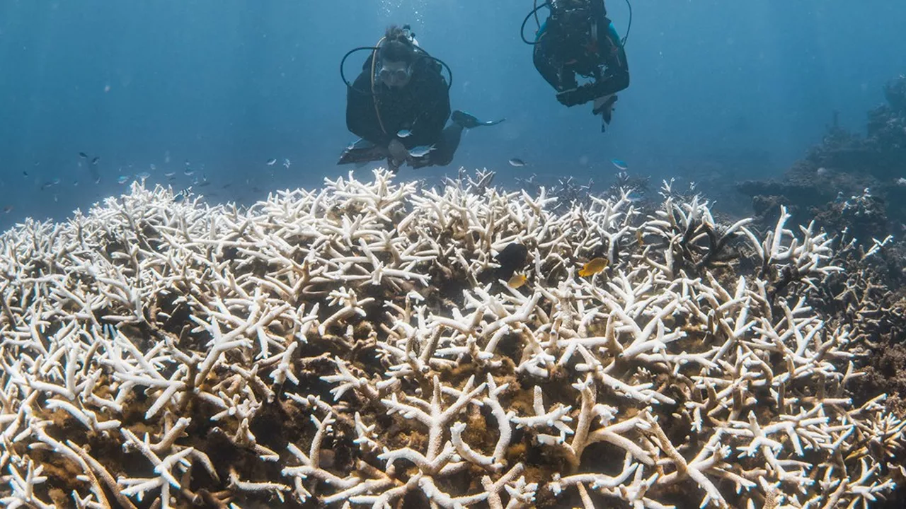 Environnement : une nouvelle « limite planétaire » franchie