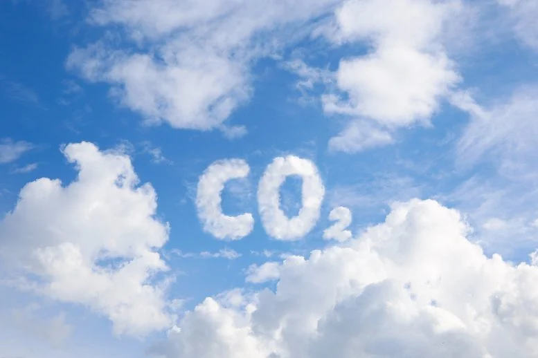 Climate Models Got It Wrong: Plants Can’t Absorb As Much CO₂ As We Thought