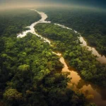 Climate Change Is Quietly Transforming the World’s Richest Forests
