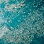 Oceans Are Struggling To Absorb Carbon As Microplastics Flood Their Waters