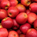 Plus de trois quarts des pommes contaminées par “des cocktails de pesticides”