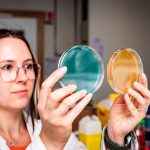 Des bactéries mangeuses de PFAS